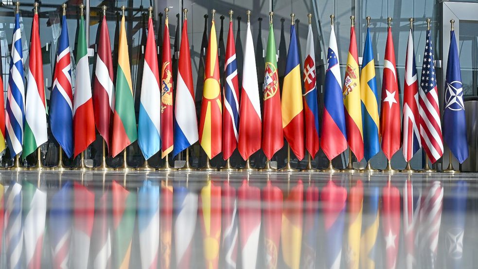 Unter dem Druck der USA erhöhen die europäischen Nato-Staaten und Kanada ihre Verteidigungsausgaben. Der Zuwachs wird aber schon wieder schwächer. (Archivbild) Foto: Anna Ross/dpa