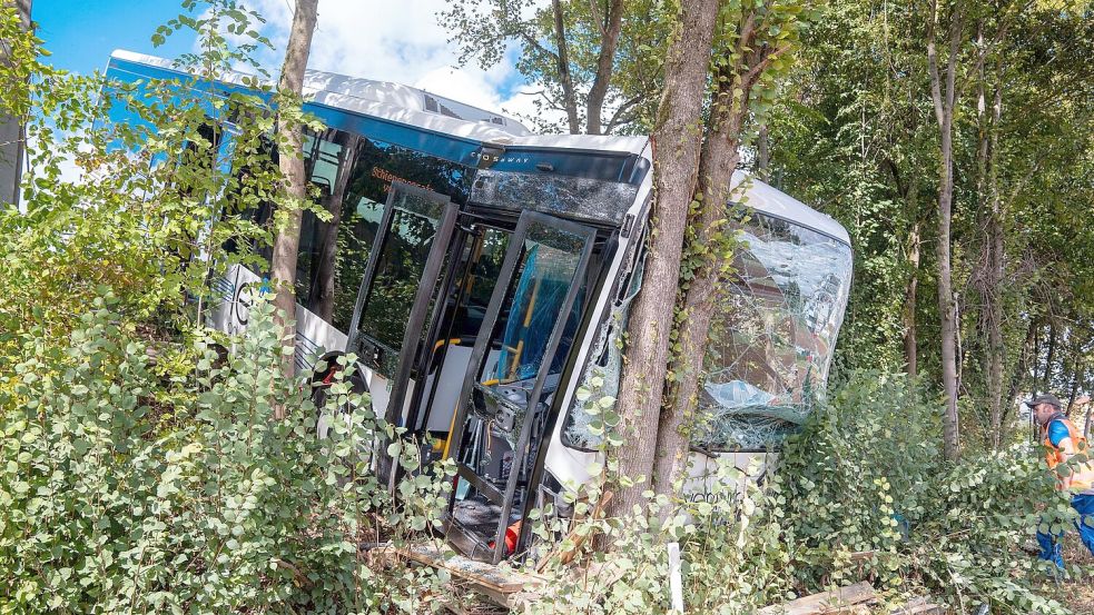 Der Bus kam nach dem Unfall erst im Gebüsch an einer steilen Böschung zum Stehen. Foto: Lars Haubner/NEWS5/dpa