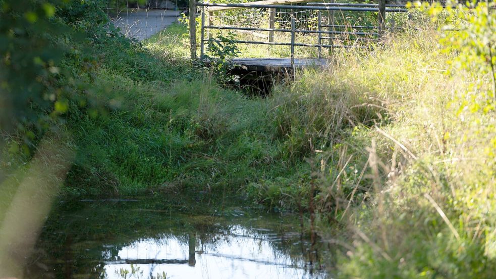 Unter der Brücke hatten Anwohner schon früh den Geruch mitbekommen. Foto: Markus Lenhardt/dpa