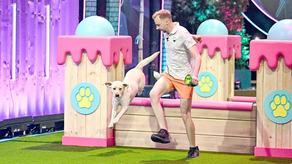 Hund Alice springt über eine Hürde. Herrchen Jakob Prößdorf ist direkt bei ihr. Foto: RTL/Markus Hertrich