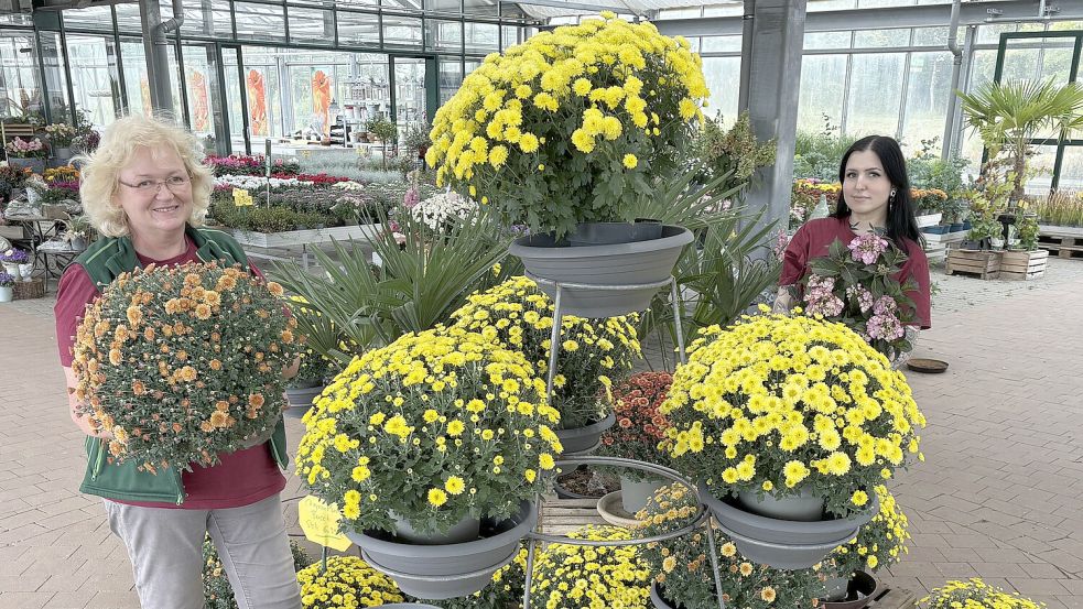 Andrea Martens (links) und ihr Team vom Martens Gartencenter bieten bunte Vielfalt zur Herbstschau.