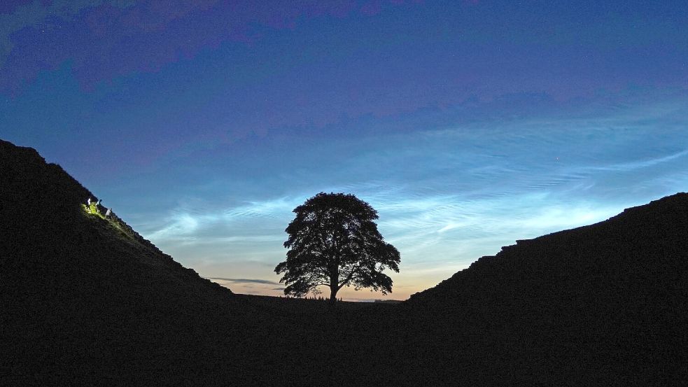 Der Sycamore Gap Tree in England war einst ein beliebtes Fotomotiv. (Archivfoto) Foto: Owen Humphreys