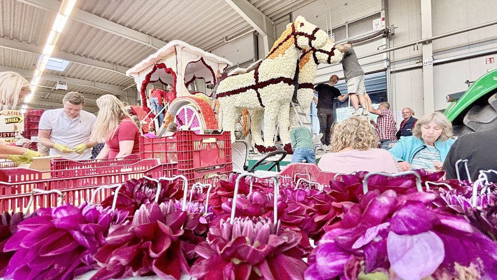 Mit dem Blütenstecken startete am Donnerstag das 73. Wiesmoorer Blütenfest. Foto: Klaus Ortgies