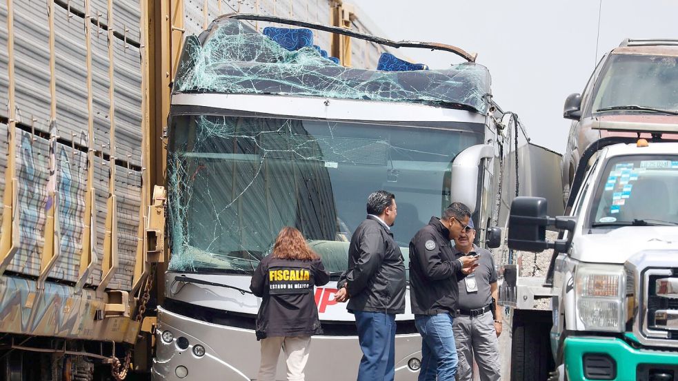 Der Busfahrer soll versucht haben, es noch vor dem Zug auf die andere Seite zu schaffen. Foto: Ramses Mercado Valdes/AP/dpa