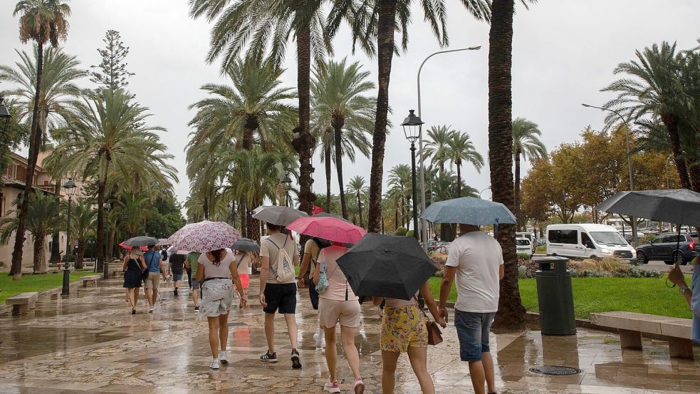 Kein Urlaubswetter auf Mallorca. Foto: Clara Margais