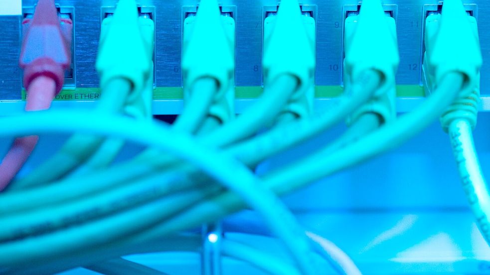 Netzwerkkabel in einem Serverraum: Zu Cybersicherheit gehört auch, den Zugriff vor Angreifern zu sichern. Foto: Sebastian Kahnert/zb/dpa