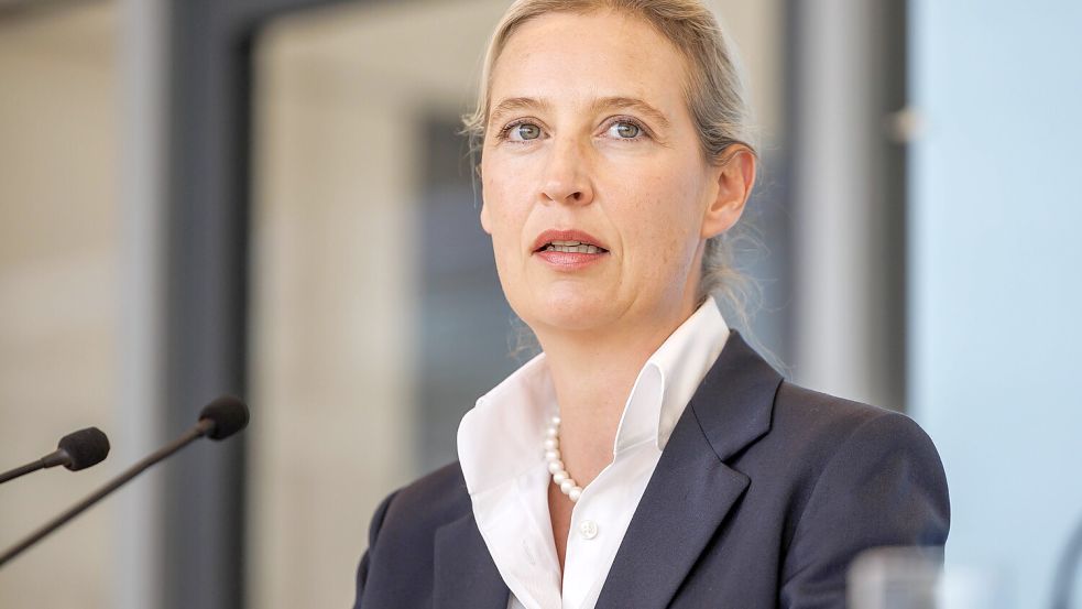 Spricht unbeirrt weiter von Massenmigration: AfD-Co-Chefin Alice Weidel. Foto: IMAGO/Andreas Gora