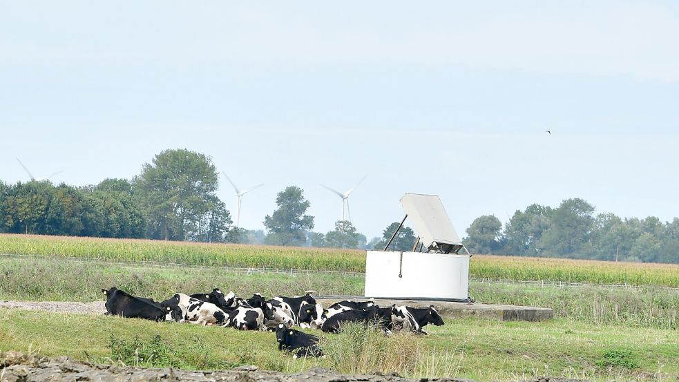 Mehr als den Sockel sieht man von der abgerissenen Windkraftanlage nicht mehr. Foto: Heinz Wagenaar