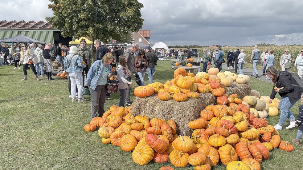 Das Kürbisfest bei den Ohlings: Was war mehr da? Kürbis oder Menschen? Foto: Hannah Weiden