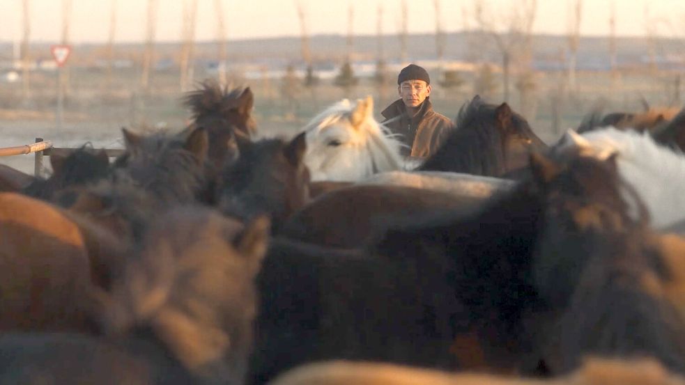 In „To Kill a Mongolia Horse“ zeigt Regisseur Xiaoxuan Jiang das Leben in der Mongolei. Foto: Filmfest Osnabrück