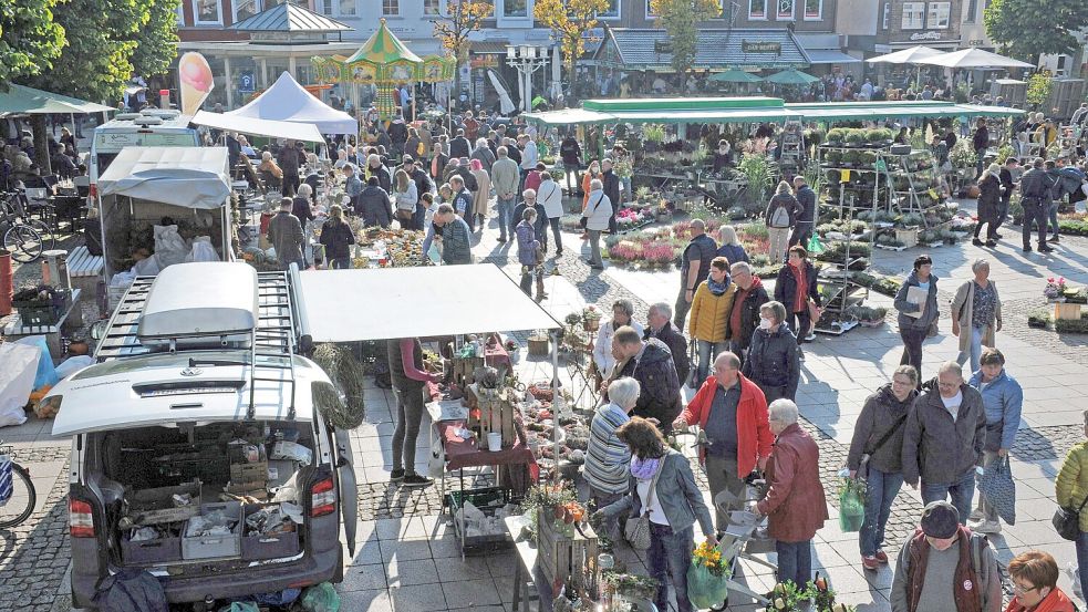 Der Marktplatz verwandelt sich in ein buntes Herbstblumen-Spektaktel.
