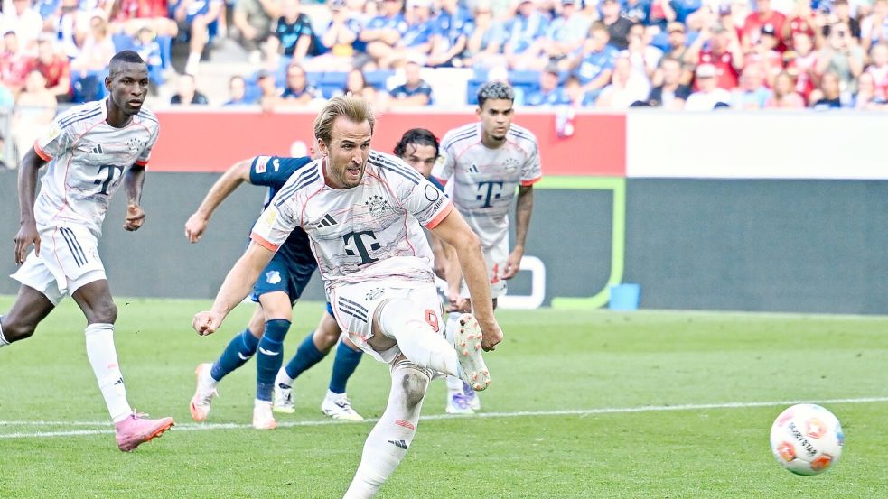 Harry Kane war nicht nur vom Punkt treffsicher. Foto: Uwe Anspach