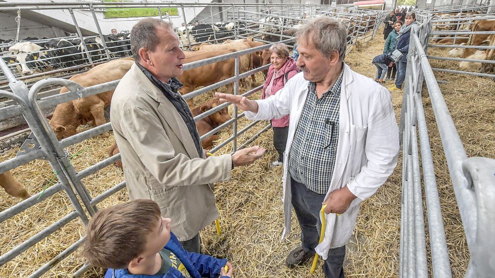 Die „Klopperee“ besiegelt den Kauf eines Tieres – auf dem Galliviehmarkt wird diese Tradition gepflegt. Foto: Klaus Ortgies/Archiv
