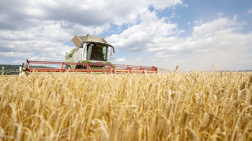 Die europäischen Agrarminister schlagen Alarm: In den Haushaltsplänen der EU-Kommission sind für die Landwirte über 20 Prozent weniger Mittel eingeplant. Foto: dpa/Thomas Warnack