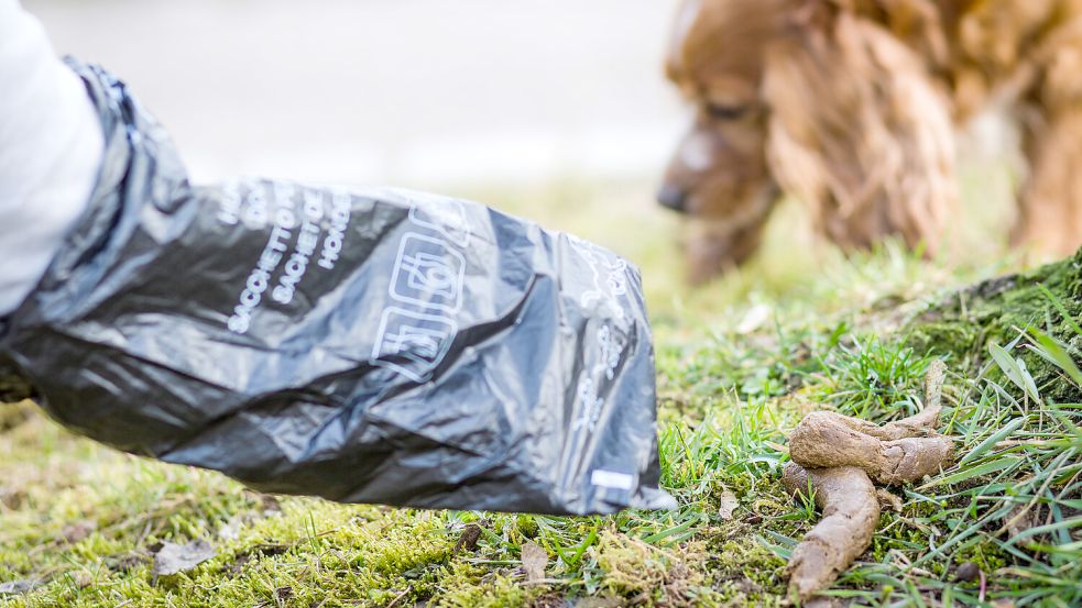 Beutel für Hundekot bringen wenig, wenn sie in die Natur geworfen werden. Symbolfoto: Christoph Schmidt/dpa