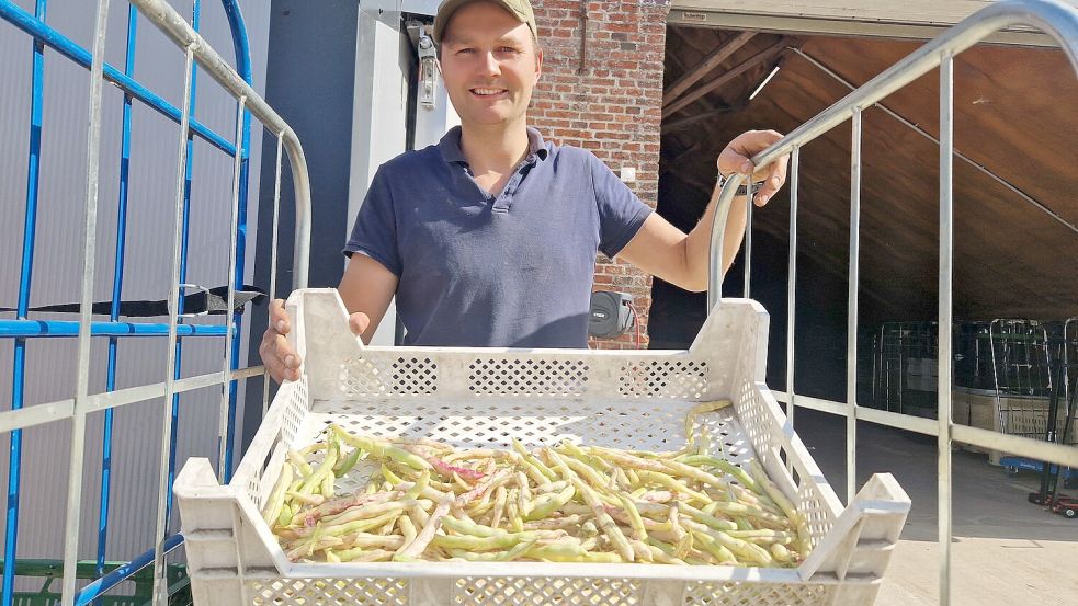 Diese Bohnen waren schon im Trockenprogramm des Ofens, müssen aber noch ein wenig nachtrocknen und ihre restliche grüne Farbe verlieren. Foto: Tatjana Gettkowski