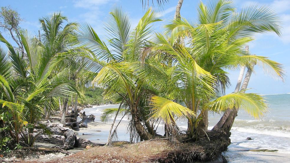 Der Fund zweier Leichen auf dem Grundstück eines deutschen Paares in Costa Rica gibt Rätsel auf. (Archivbild) Foto: picture alliance / dpa