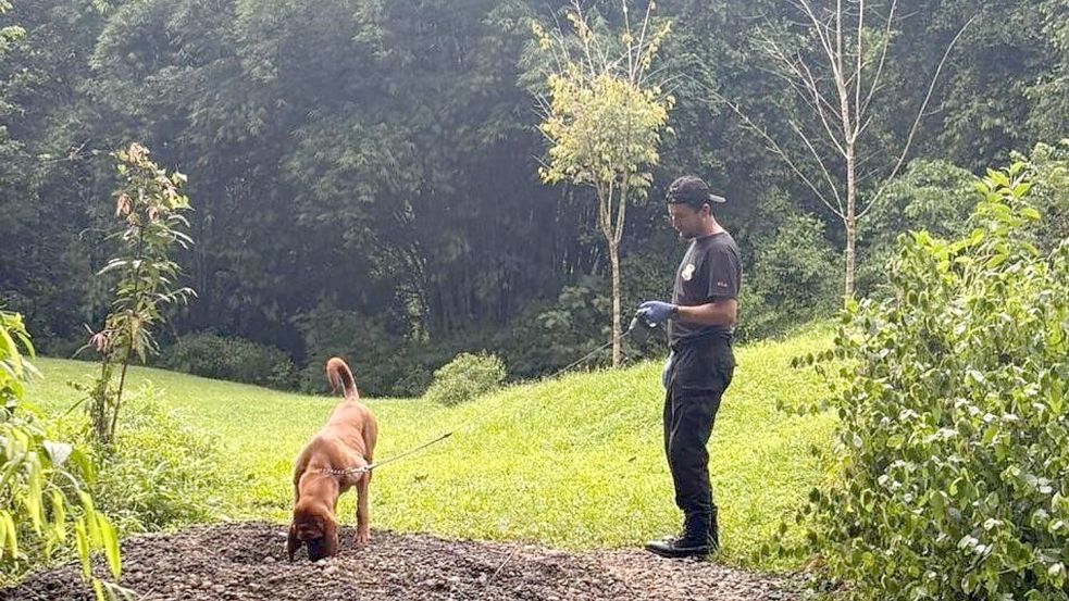 Die Ermittler entdeckten die Leichen mit Hilfe eines Spürhunds. Foto: ---/OIJ Costa Rica/dpa
