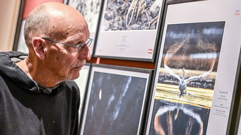 Besucher haben bald die Chance, Naturaufnahmen auf sich wirken zu lassen. Foto: Klaus Ortgies