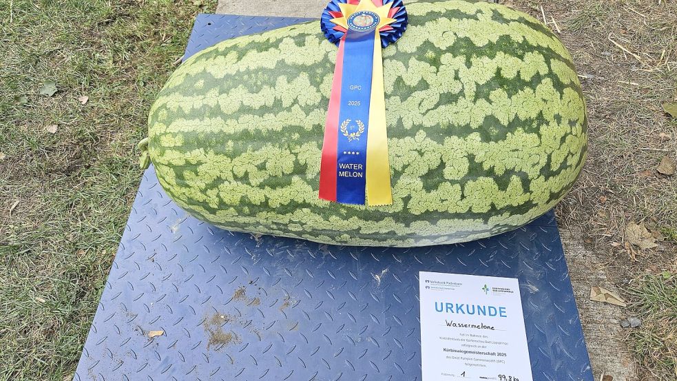 Diese Wassermelone wiegt fast 100 Kilo. Foto: privat