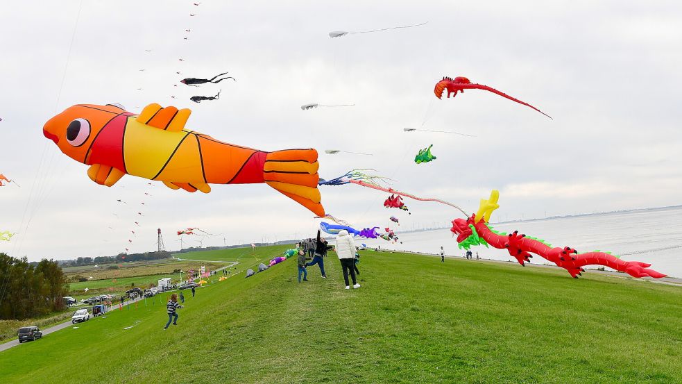 Bei dem Drachenfest in Upleward lassen viele Profis ihre Drachen steigen. Foto: Heinz Wagenaar/Archiv