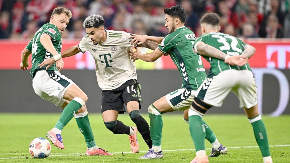 Kaum zu stoppen: Bayern-Angreifer Luis Díaz gegen drei Bremer. Foto: Harry Langer