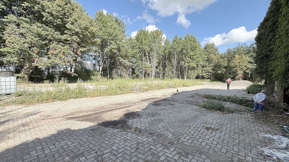 So sieht das vom Müll befreite Grundstück aus. Foto: Daniel Noglik