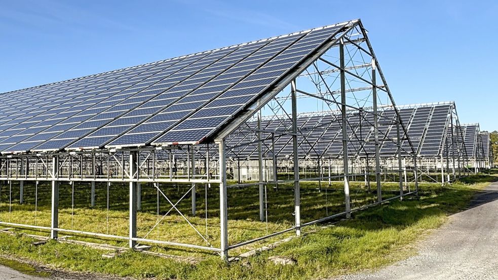 Parallel zur Hauptstraße in Wiesmoor wurde auf den nicht mehr genutzten Gewächshäusern der Wiesmoor-Gärtnerei bereits eine Solaranlage errichtet. Nicht weit entfernt soll jetzt ein neuer Solarpark entstehen. Foto: Nicole Böning