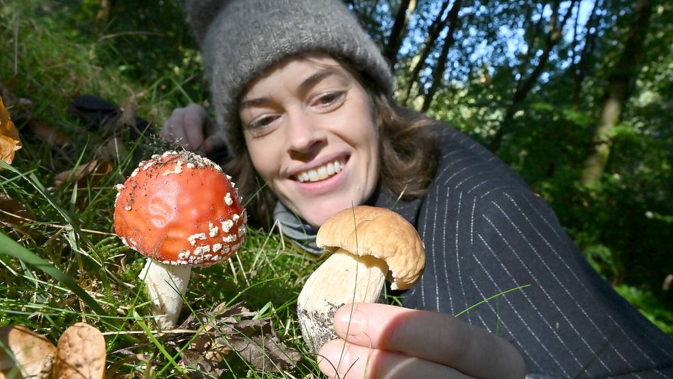 Der bekannteste Giftpilz in Deutschland ist wohl der Fliegenpilz (links). Der Steinpilz ist ein beliebter Speisepilz. Schön sind sie beide. Foto: Klaus Ortgies