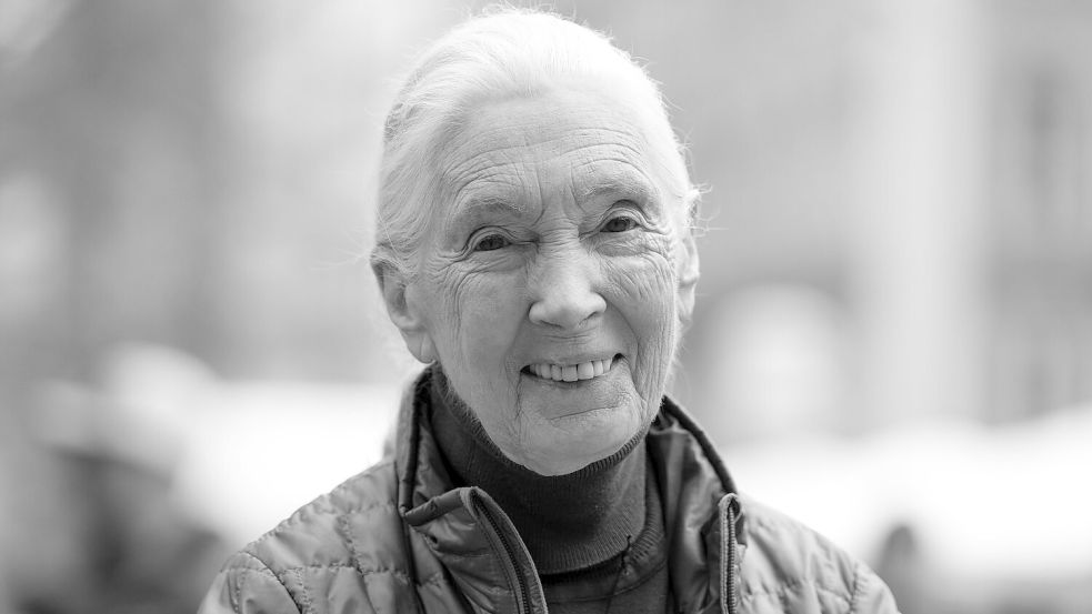 Die britische Schimpansen-Forscherin und Umwelt-Aktivistin Jane Goodall ist tot. Foto: Sven Hoppe