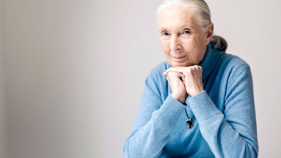 Die berühmte Schimpansenforscherin Jane Goodall ist im Alter von 91 Jahren gestorben. (Archivbild) Foto: Victoria Will/Invision/AP/dpa