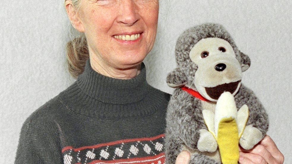 Jane Goodall brachte oft einen Affen mit. (Archivbild) Foto: Volker Dornberger/dpa