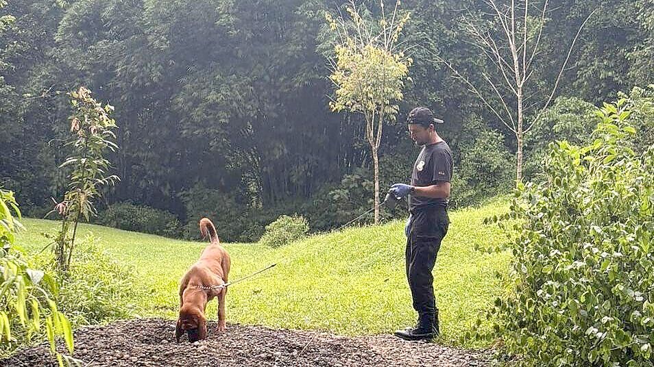 Das Bild zeigt einen Einsatz an dem Ort in Costa Rica, an dem ein Spürhund zwei Leichen gefunden hat. Foto: picture alliance/dpa/OIJ Costa Rica
