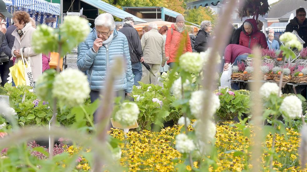 Der Heidemarkt in Aurich ist ein Publikumsmagnet. Foto: Klaus Ortgies/Archiv