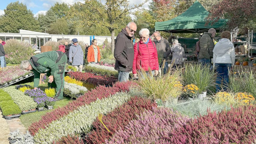 Im Park der Gärten endet am Sonntag die Saison 2025. Am Feiertag gibt es dort noch den beliebten Herbstmarkt. Foto: Park der Gärten/Archiv