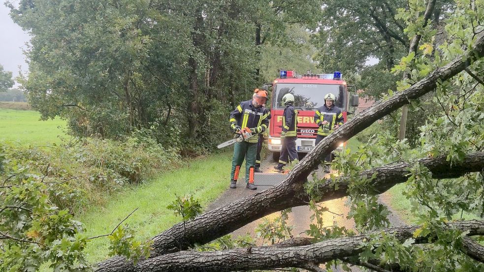 Die Feuerwehr Wiesens war am Samstagvormittag im Einsatz. Foto: Enno Campen