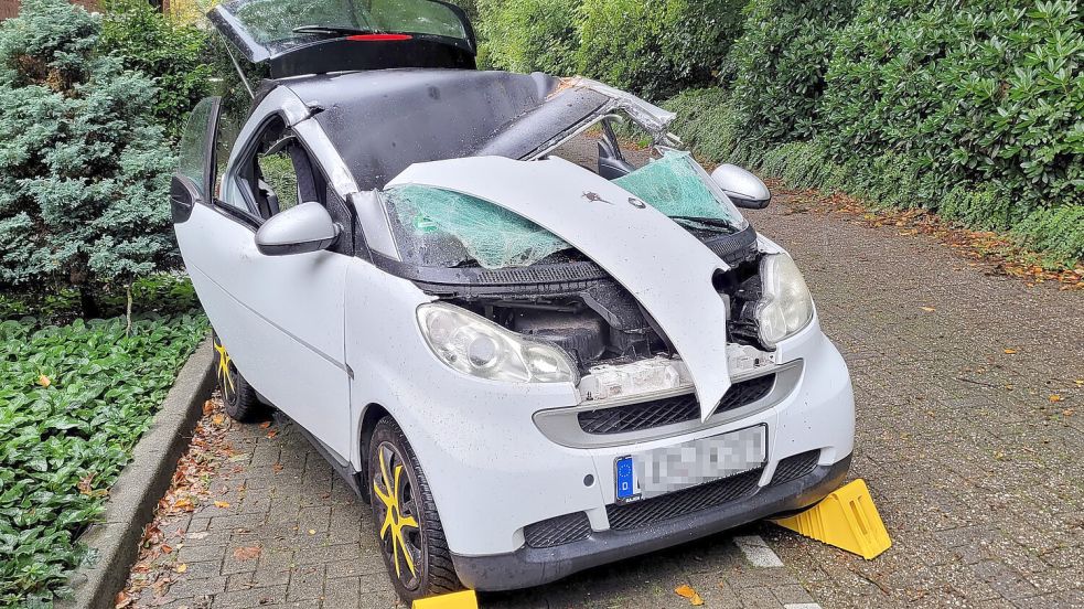 Der Baum hat das Fahrzeug schwer beschädigt. Foto: Bodo Wolters