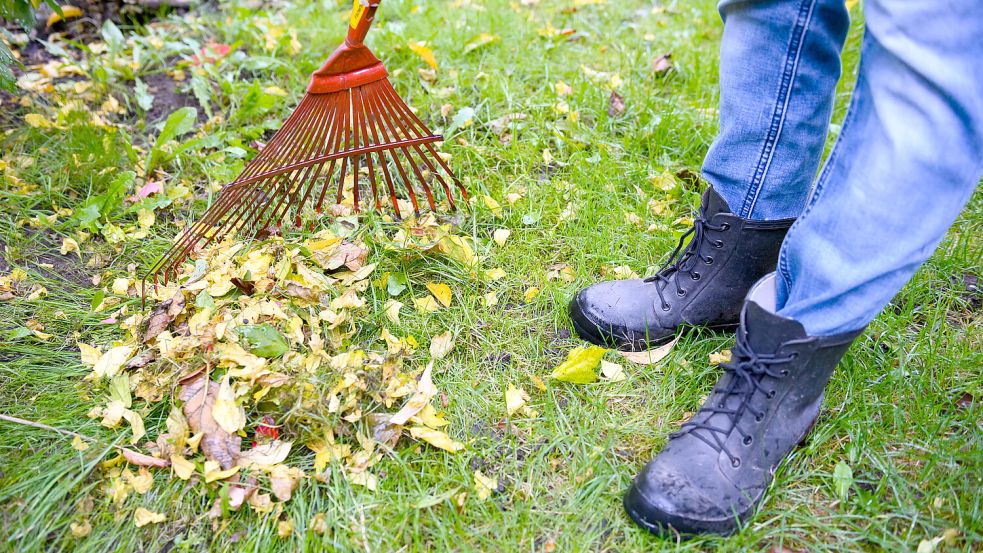 Ein Mann harkt Laub zusammen. Foto: DPA