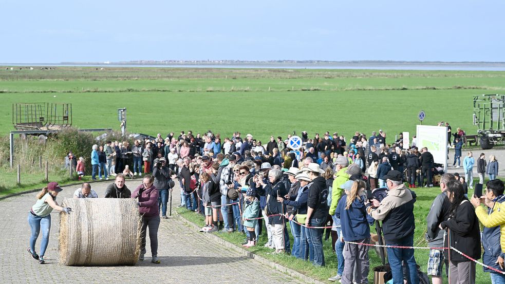 Strohballenrollen in Dornum: Hier stehen wieder Wettkämpfe in verschiedenen Disziplinen an. Foto: Lars Penning/DPA/Archiv
