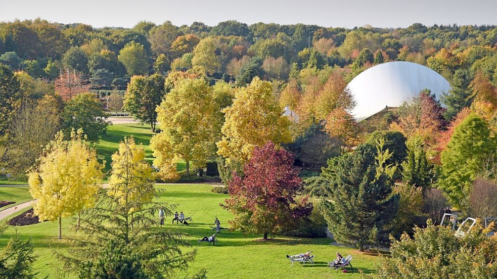 Der Park der Gärten präsentiert sich herbstlich. Foto: Park der Gärten