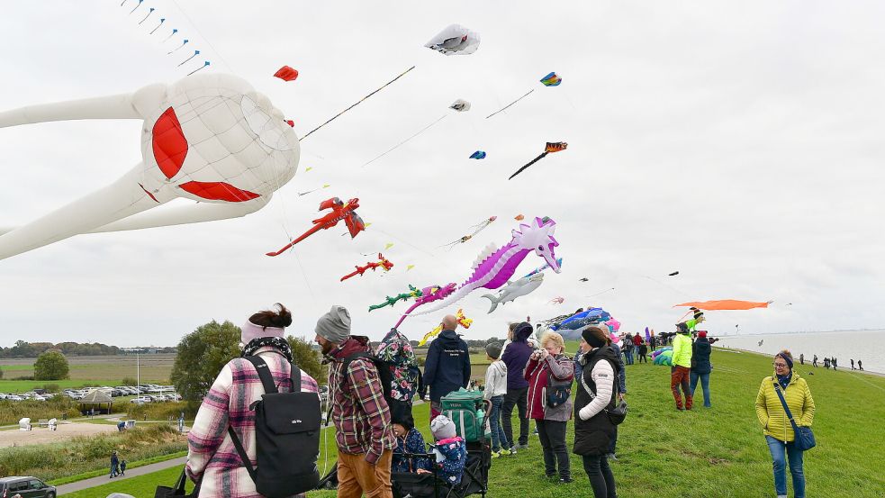 Bunt, groß, witzig: Viele Drachen sind ganz schöne Hingucker am Deich in Upleward. Zum alljährlichen Drachenfest kamen zahlreiche Fans. Foto: Heinz Wagenaar