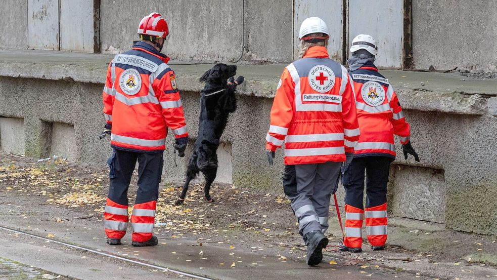 Mehrere Rettungshundestaffeln suchen in Güstrow nach einem Jungen. Foto: Stefan Sauer