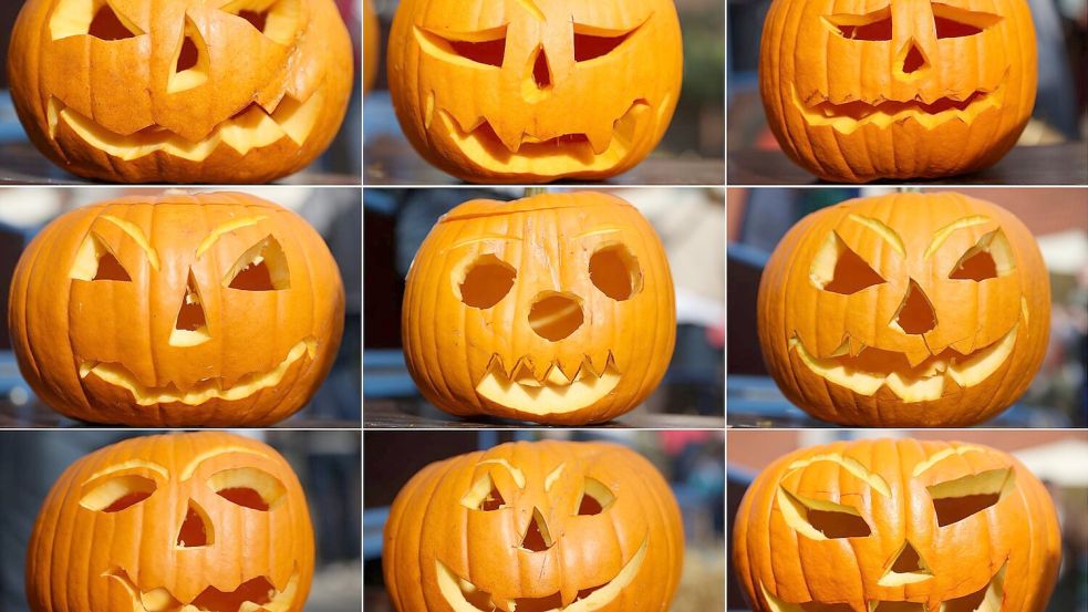 Geschnitzte Kürbisse: Nicht zuletzt Halloween hat den Kürbis hierzulande beliebter gemacht. (Archivbild) Foto: picture alliance / dpa