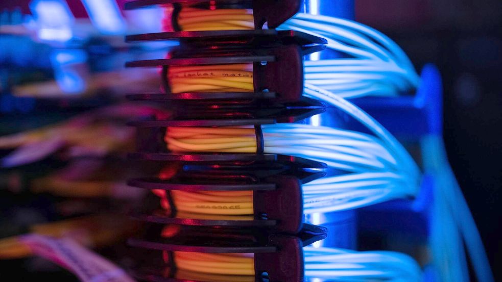 Prorussische Hacker haben nach einem Bericht der „Süddeutschen Zeitung“ die Webseite des Deutschen Vergabeportals in die Knie gezwungen. (Symbolbild) Foto: Sebastian Gollnow