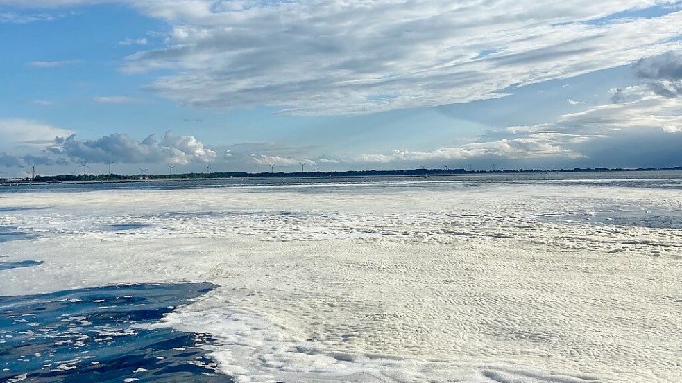 Meeresschaum auf der Nordsee: Er ist angereichert mit schädlichen Chemikalien. Foto: Hanz