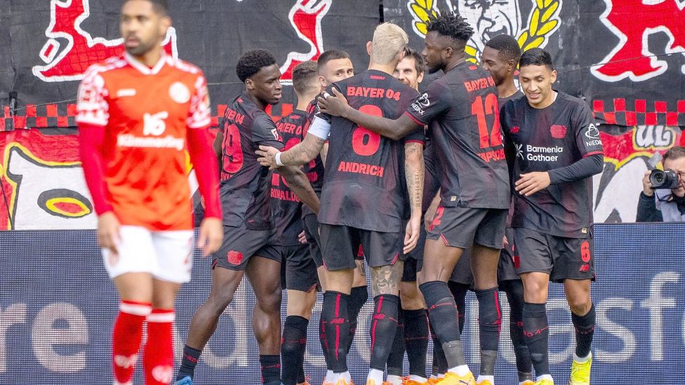 Torjubel für Leverkusen beim FSV Mainz 05. Foto: Torsten Silz