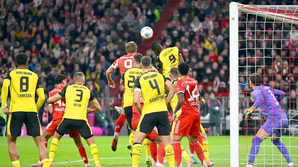 Trifft schon wieder: Harry Kane Foto: Sven Hoppe