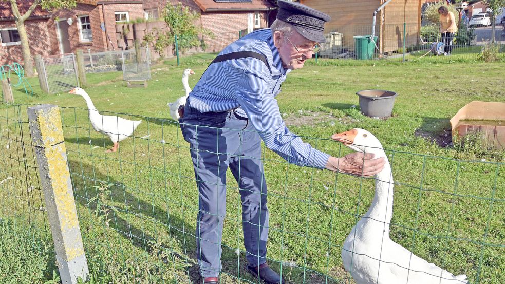 Liebevoll streichelt Ludwig Smidt eine seiner drei Emder Gänse, um die es in diesem Sommer viel Wirbel gab. Foto: Thomas Dirks