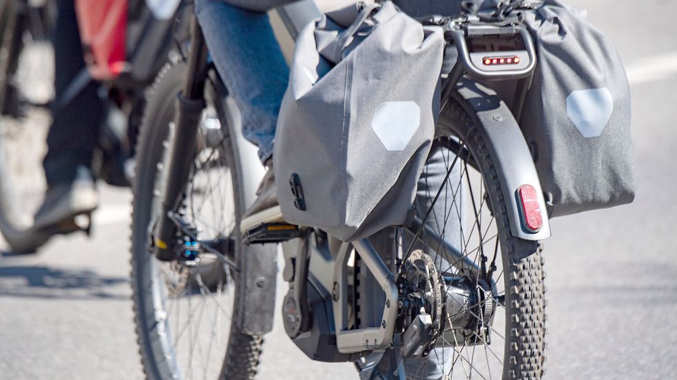 Ein Radfahrer auf dem E-Bike: Im Vorbeifahren ist kaum zu erkennen, um was für ein Modell es sich handelt. Foto: Hauke-Christian Dittrich/dpa