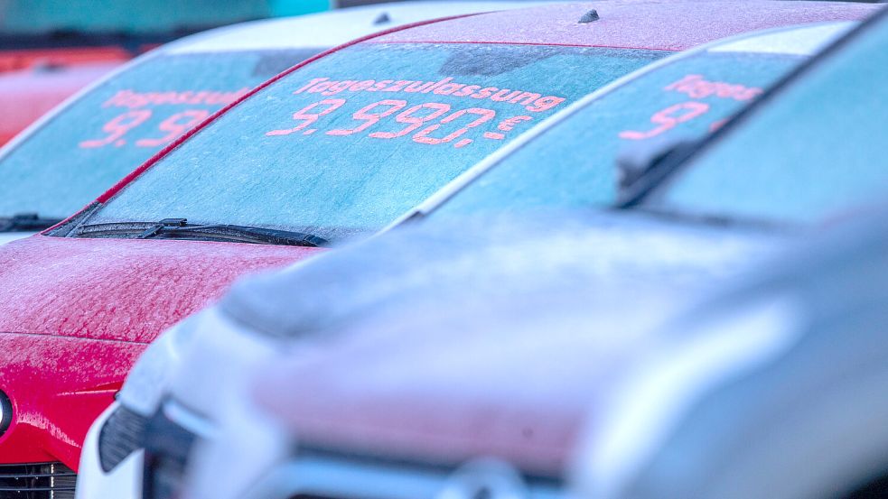 Der Mann hatte einen Autohandel betrieben. Symbolfoto: Jens Büttner/dpa